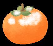 DƬ
